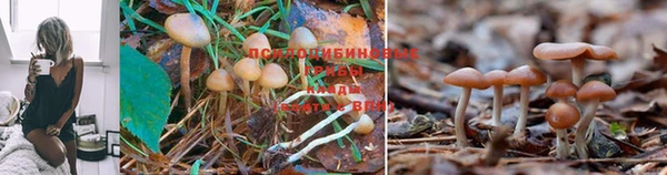 героин Зерноград