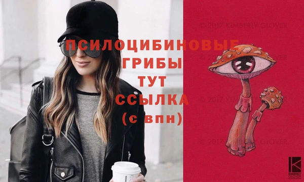 мдпв Заводоуковск