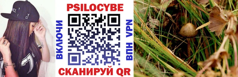 Галлюциногенные грибы Psilocybe  Калининград 