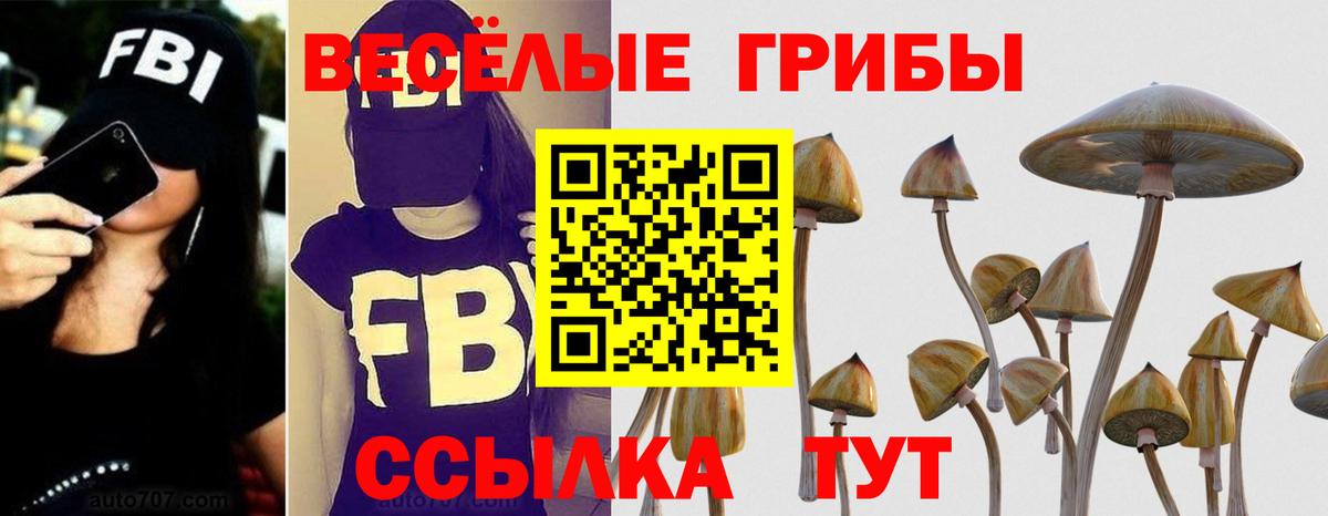 Калининград  Псилоцибиновые грибы ЛСД  Вход с VPN 